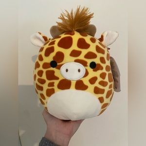 8” Gary squishmallow!